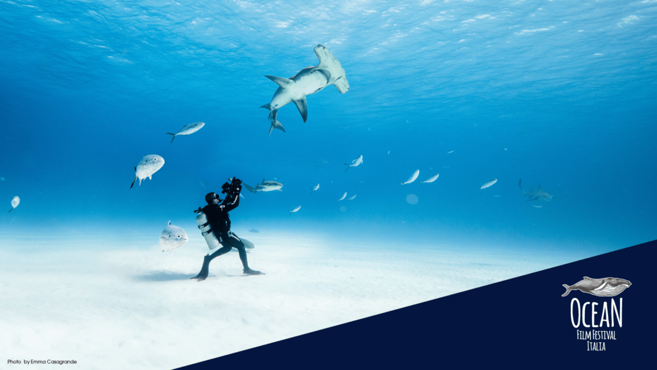 Ocean Film Festival 2021