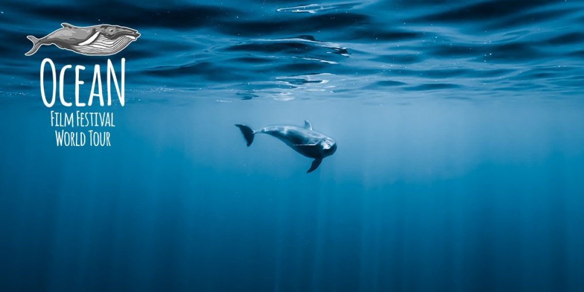 Humanitix Ocean FF 22 Header JKowitz
