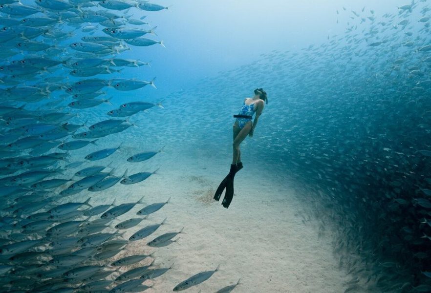 ocean-film-festival